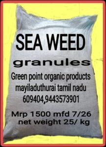 sea weed